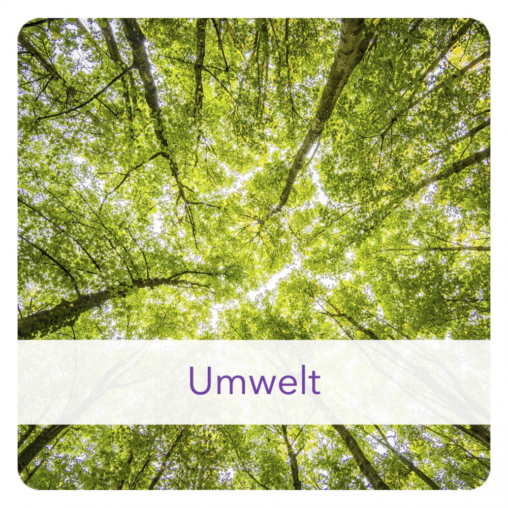 Icon Umwelt