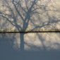Schriftzug im Schatten der Bäume