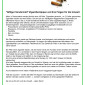 Umwelttipp Jun 2024